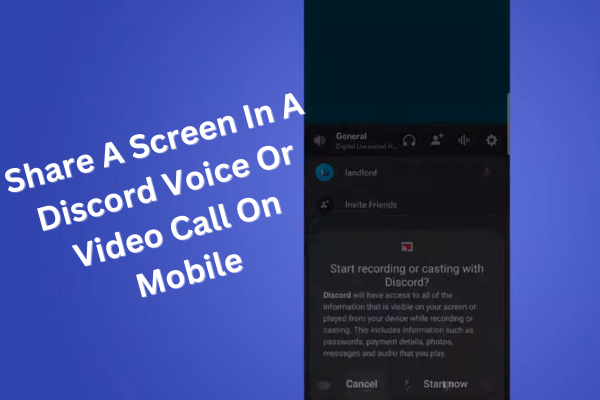 How To Share A Screen In A Discord Voice Or Video Call On PC(2)